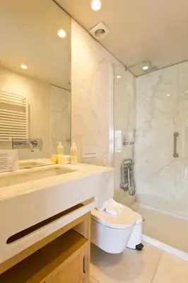 a bathroom with a sink and a toilet and a shower at Boutique Rentals-Primrose Terrace&Garage in Porto